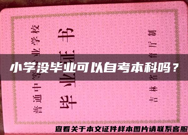 小學沒畢業可以自考本科嗎？