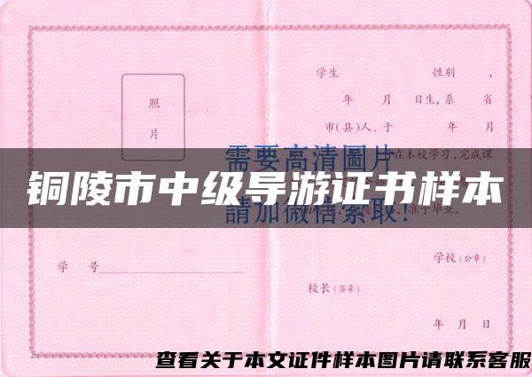 銅陵市中級導游證書樣本