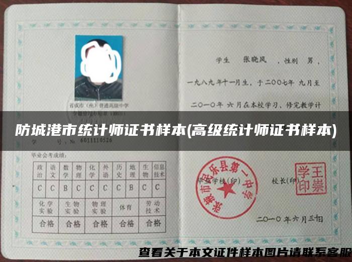 防城港市統計師證書樣本(高級統計師證書樣本)