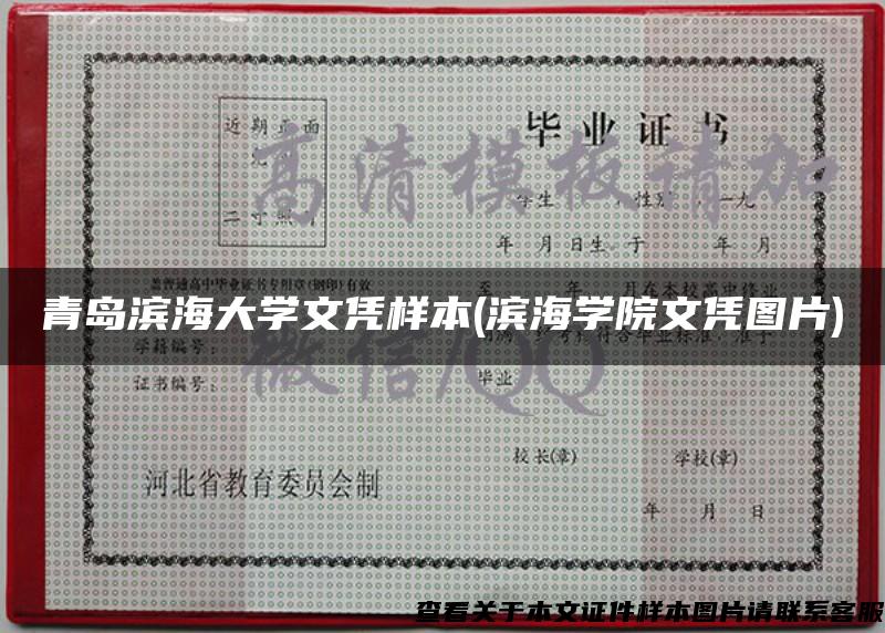 青島濱海大學文憑樣本(濱海學院文憑圖片)