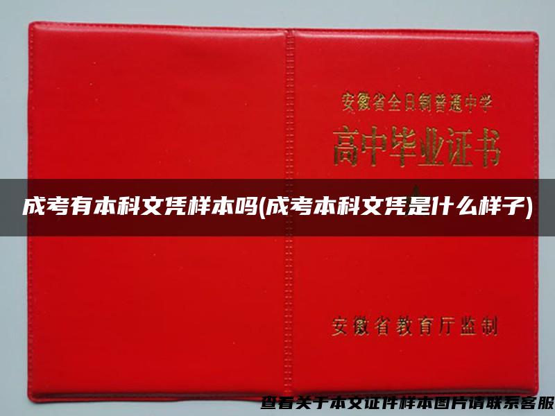 成考有本科文憑樣本嗎(成考本科文憑是什么樣子)