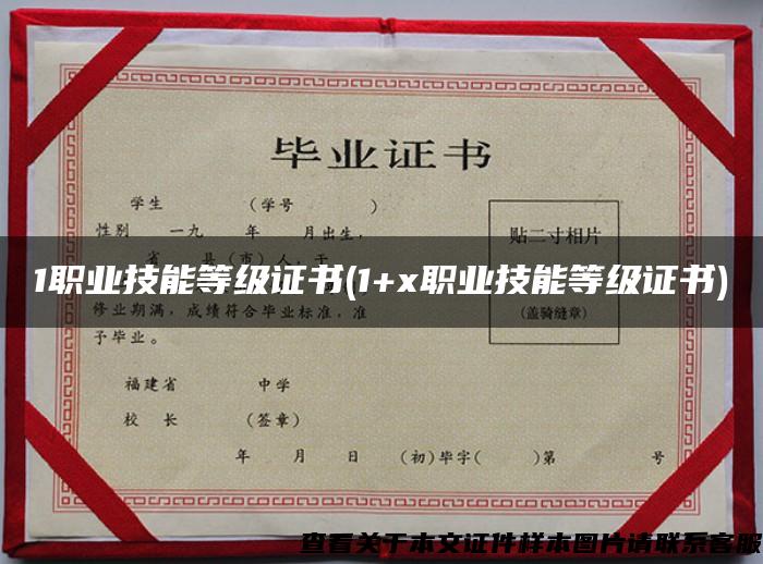 1職業技能等級證書(1+x職業技能等級證書)