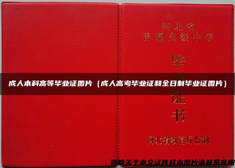 成人本科高等畢業證圖片（成人高考畢業證和全日制畢業證圖片）