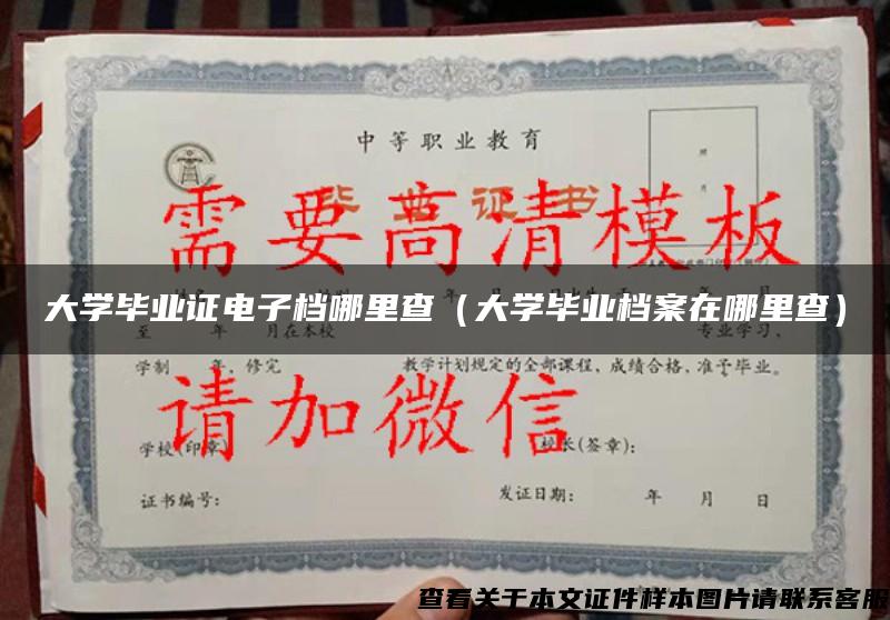 大學畢業證電子檔哪里查（大學畢業檔案在哪里查）