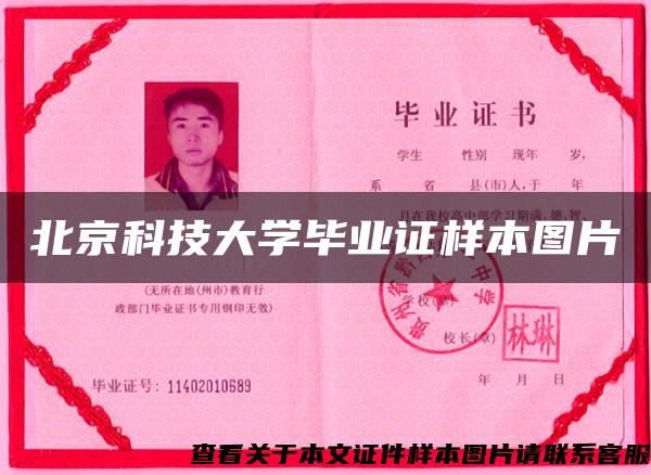 北京科技大學畢業證樣本圖片