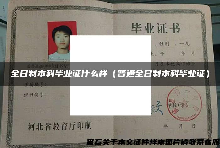 全日制本科畢業證什么樣（普通全日制本科畢業證）