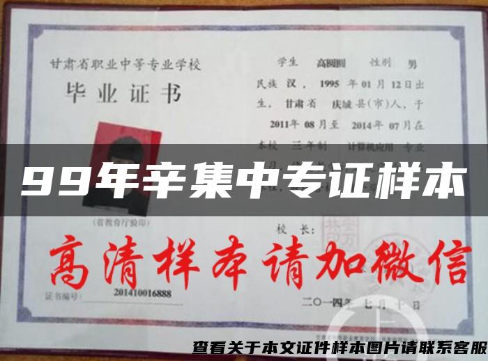 99年辛集中專證樣本