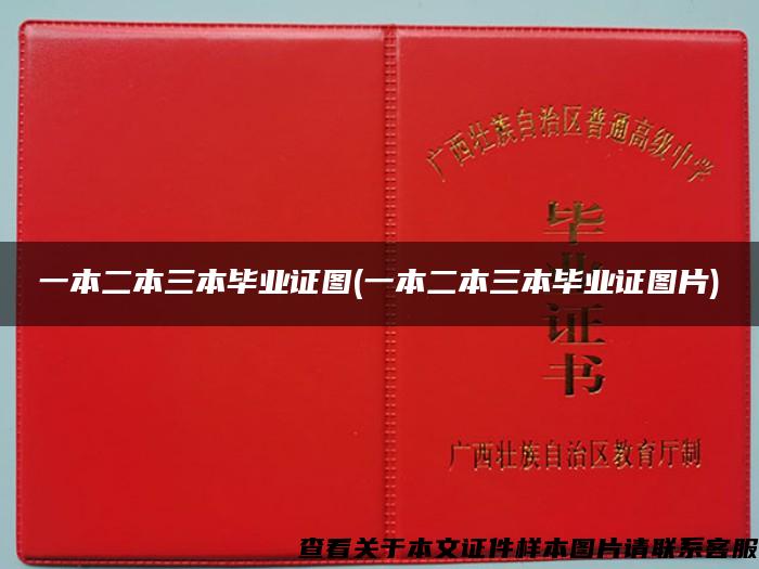一本二本三本畢業證圖(一本二本三本畢業證圖片)