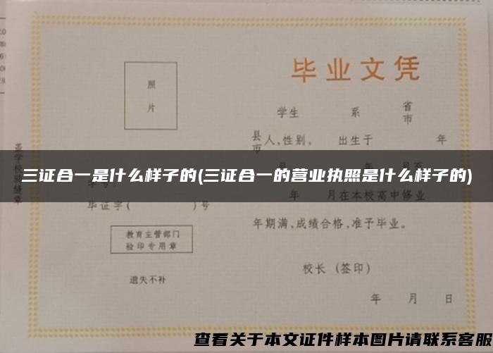 三證合一是什么樣子的(三證合一的營業執照是什么樣子的)