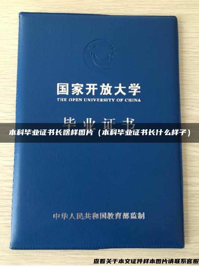 本科畢業證書長啥樣圖片（本科畢業證書長什么樣子）