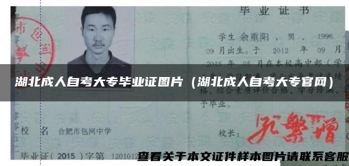 湖北成人自考大專畢業證圖片（湖北成人自考大專官網）