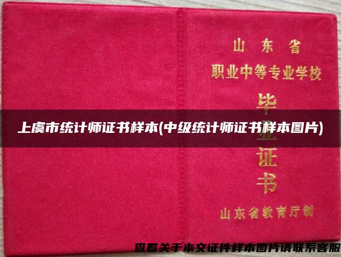 上虞市統計師證書樣本(中級統計師證書樣本圖片)