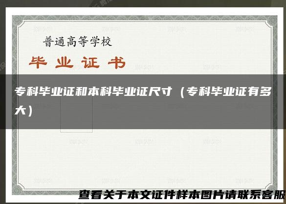 ?？飘厴I證和本科畢業證尺寸（?？飘厴I證有多大）
