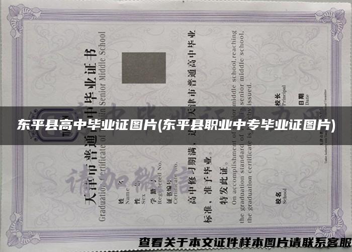 東平縣高中畢業證圖片(東平縣職業中專畢業證圖片)
