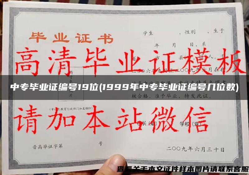 中專畢業證編號19位(1999年中專畢業證編號幾位數)