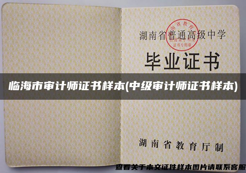 臨海市審計師證書樣本(中級審計師證書樣本)