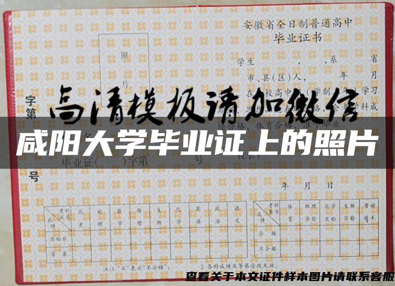 咸陽大學畢業證上的照片