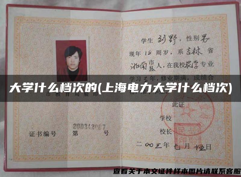 大學什么檔次的(上海電力大學什么檔次)