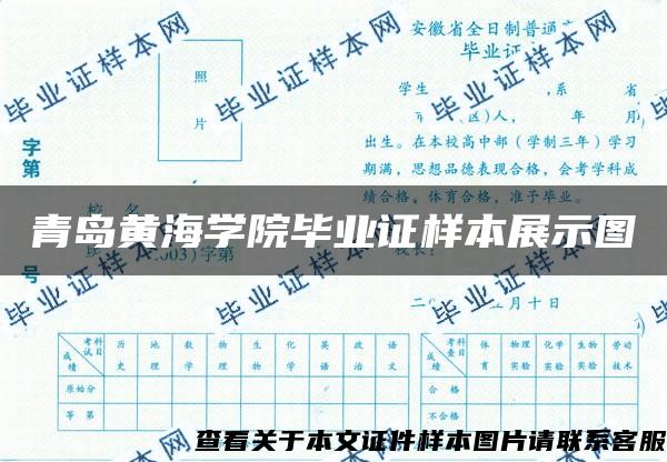 青島黃海學院畢業證樣本展示圖