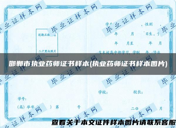 邯鄲市執業藥師證書樣本(執業藥師證書樣本圖片)