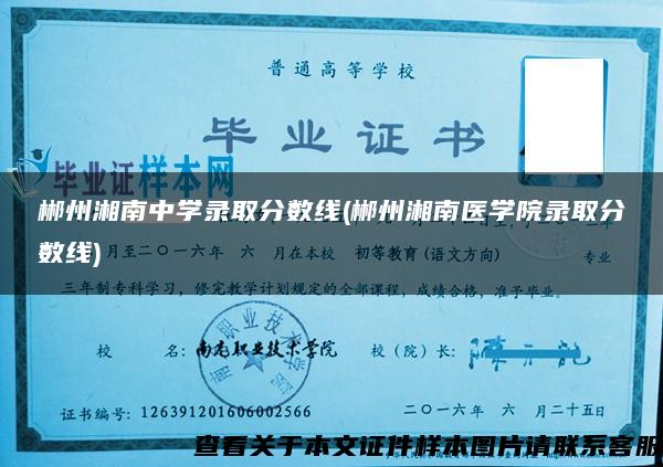 郴州湘南中學錄取分數線(郴州湘南醫學院錄取分數線)