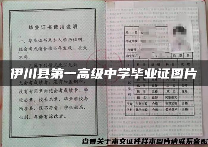 伊川縣第一高級中學畢業證圖片