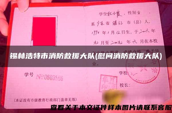 錫林浩特市消防救援大隊(慰問消防救援大隊)