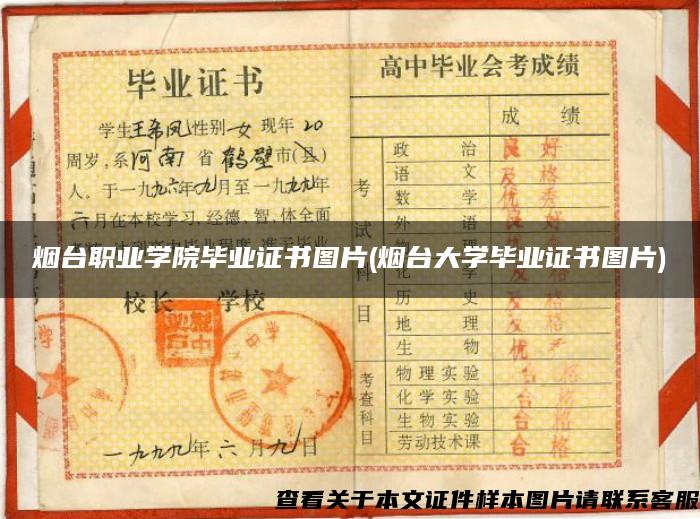 煙臺職業學院畢業證書圖片(煙臺大學畢業證書圖片)