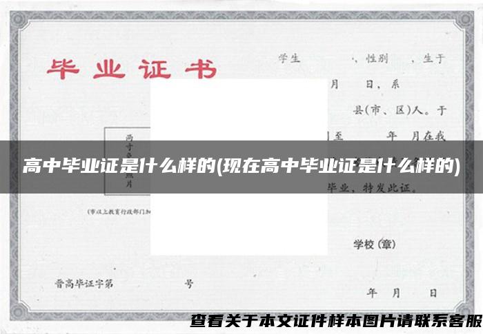 高中畢業證是什么樣的(現在高中畢業證是什么樣的)