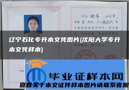 遼寧石化專升本文憑圖片(沈陽大學專升本文憑樣本)