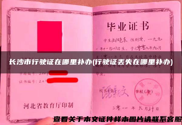長沙市行駛證在哪里補辦(行駛證丟失在哪里補辦)