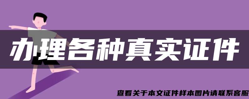 辦理各種真實證件