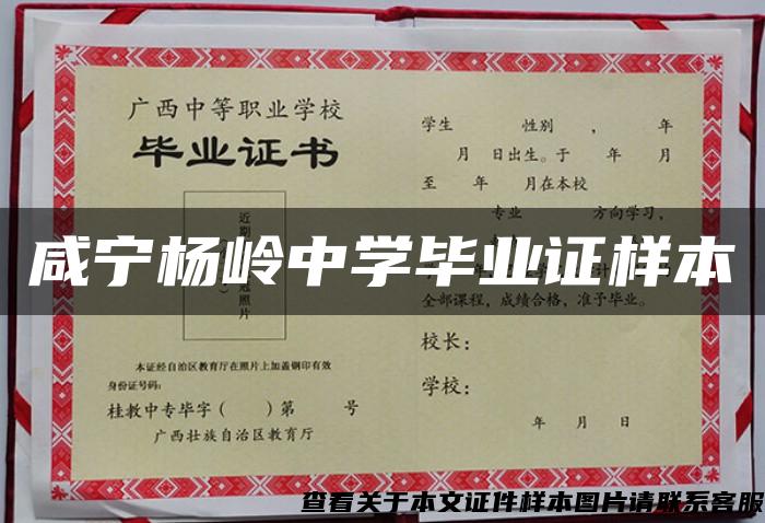 咸寧楊嶺中學畢業證樣本