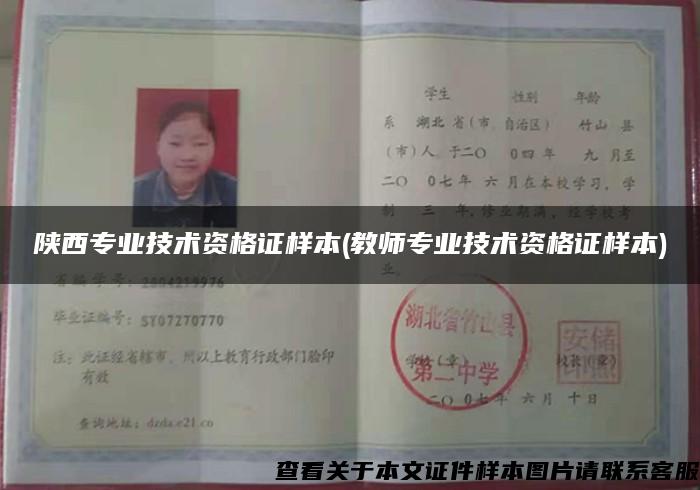 陜西專業技術資格證樣本(教師專業技術資格證樣本)