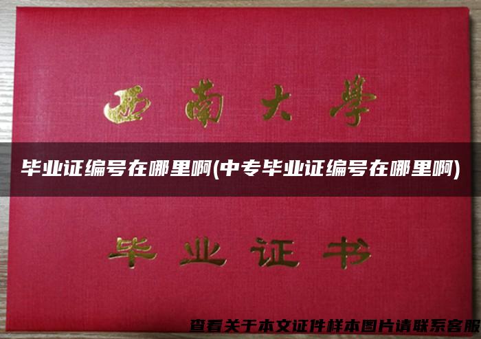 畢業證編號在哪里啊(中專畢業證編號在哪里啊)
