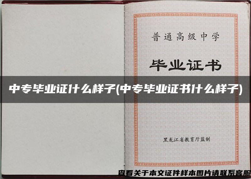 中專畢業證什么樣子(中專畢業證書什么樣子)