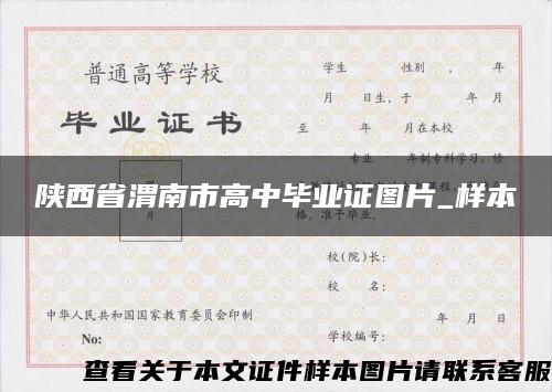 陜西省渭南市高中畢業證圖片_樣本