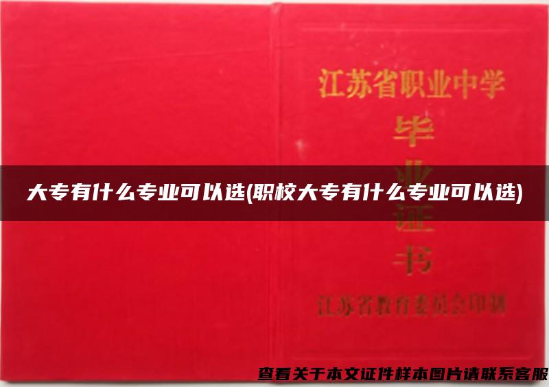 大專有什么專業可以選(職校大專有什么專業可以選)