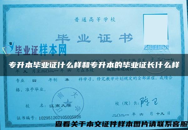專升本畢業證什么樣和專升本的畢業證長什么樣