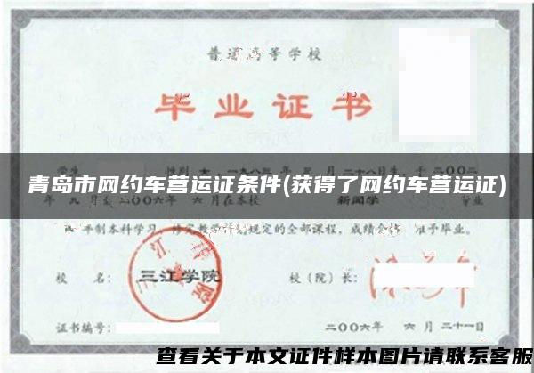 青島市網約車營運證條件(獲得了網約車營運證)