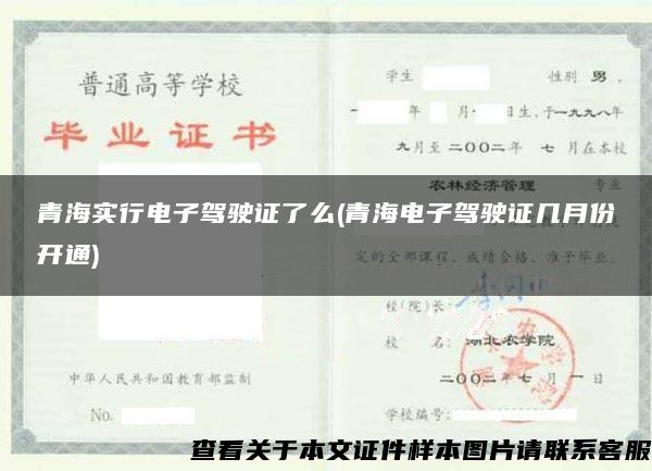 青海實行電子駕駛證了么(青海電子駕駛證幾月份開通)