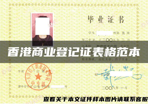 香港商業登記證表格范本