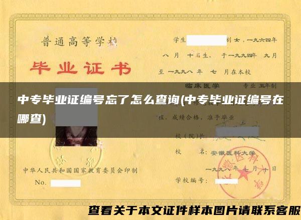 中專畢業證編號忘了怎么查詢(中專畢業證編號在哪查)