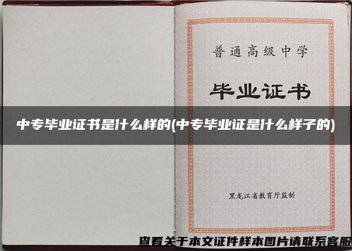中專畢業證書是什么樣的(中專畢業證是什么樣子的)