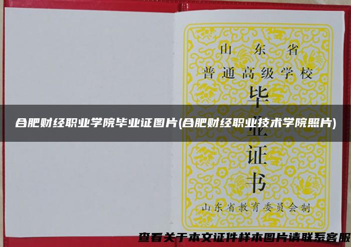合肥財經職業學院畢業證圖片(合肥財經職業技術學院照片)