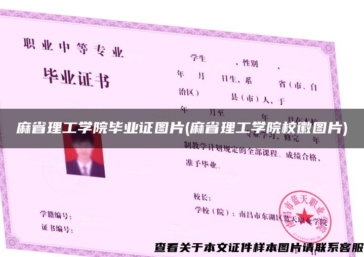 麻省理工學院畢業證圖片(麻省理工學院?；請D片)