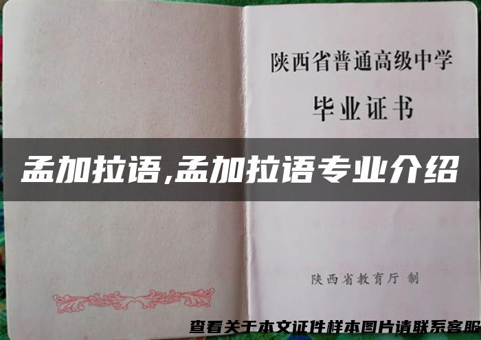 孟加拉語,孟加拉語專業介紹