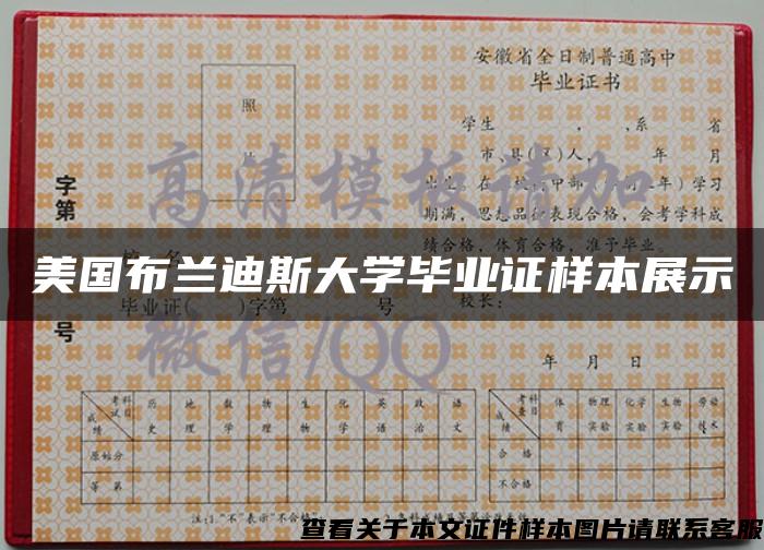美國布蘭迪斯大學畢業證樣本展示