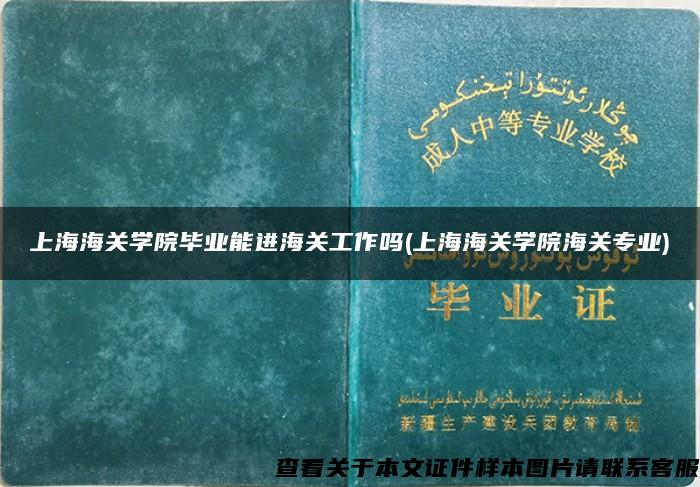 上海海關學院畢業能進海關工作嗎(上海海關學院海關專業)