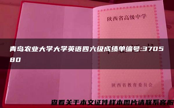 青島農業大學大學英語四六級成績單編號:370580